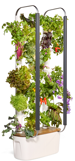 Gardyn vertical growing tower