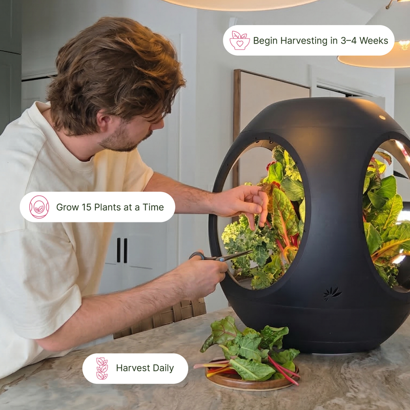 Plantaform enclosed indoor garden